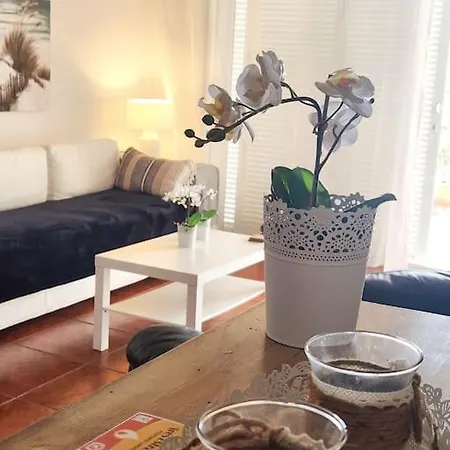 Apartment Cosy With Large Terrace Chayofa